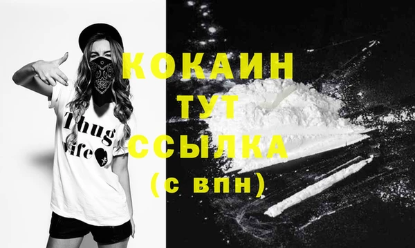 винт Балахна