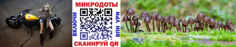 Псилоцибиновые грибы мухоморы  Городец 